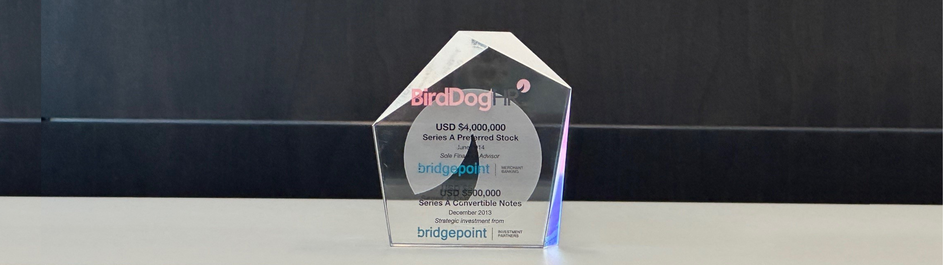 BIRDDOG cover