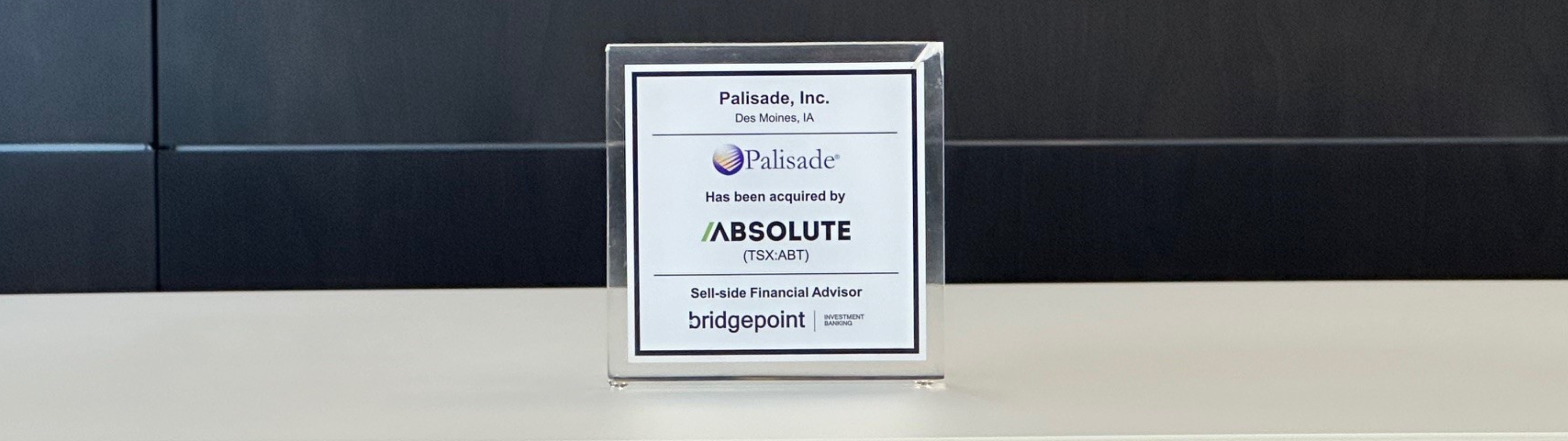 PALISADE SYSTEMS cover